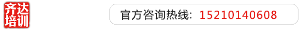 洗白白操逼逼齐达艺考文化课-艺术生文化课,艺术类文化课,艺考生文化课logo